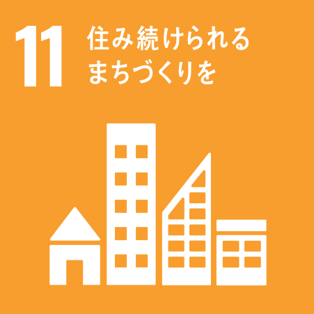 SDG's 11