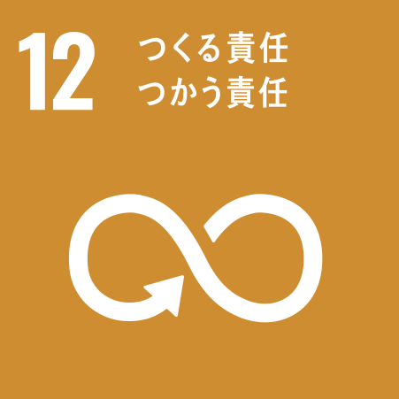SDG's 12