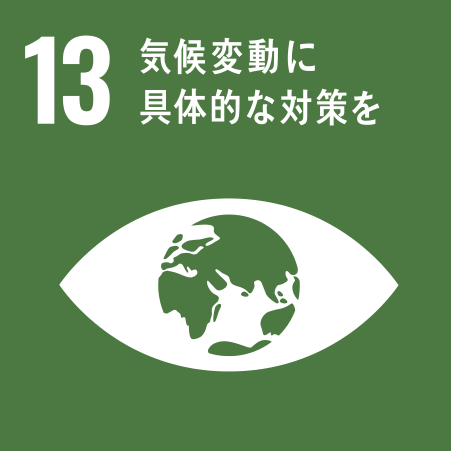 SDG's 13